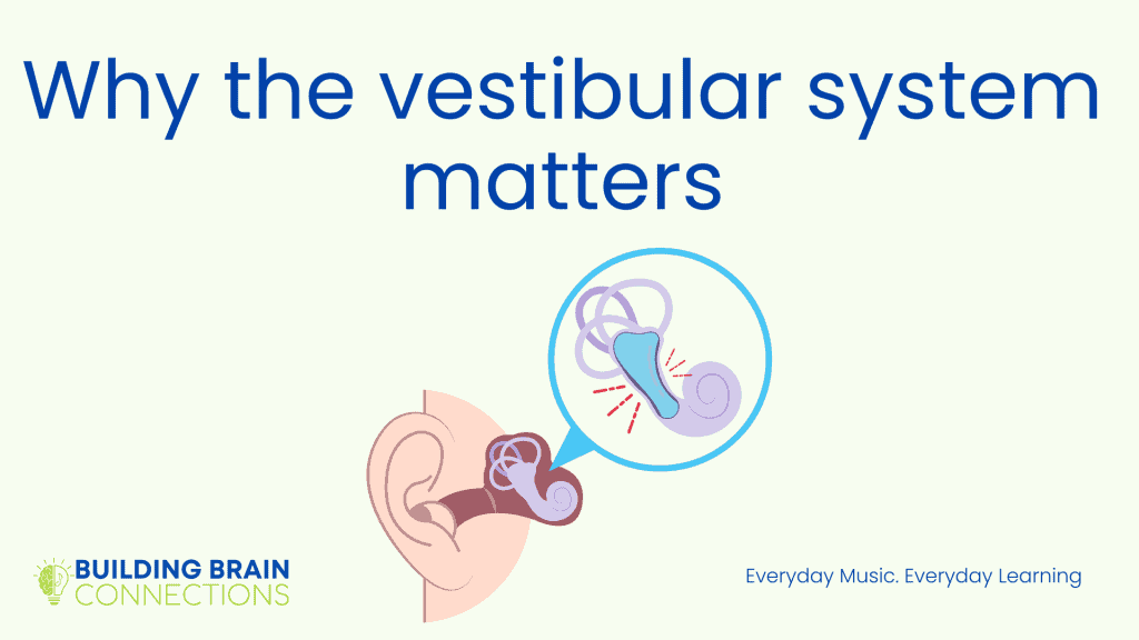 Ventricular system illustration for brain connection, understanding brain connectivity, vestibular system importance for learning.